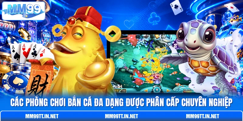 Các phòng chơi bắn cá đa dạng được phân cấp chuyên nghiệp Các phòng chơi bắn cá đa dạng được phân cấp chuyên nghiệp