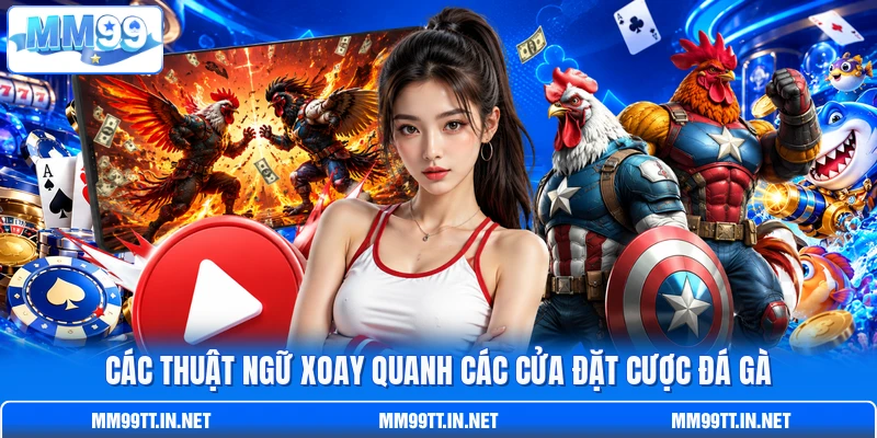 Các thuật ngữ xoay quanh các cửa đặt cược đá gà Các thuật ngữ xoay quanh các cửa đặt cược đá gà