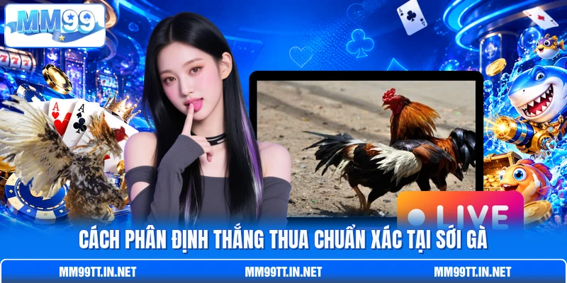 Cách phân định thắng thua chuẩn xác tại sới gà