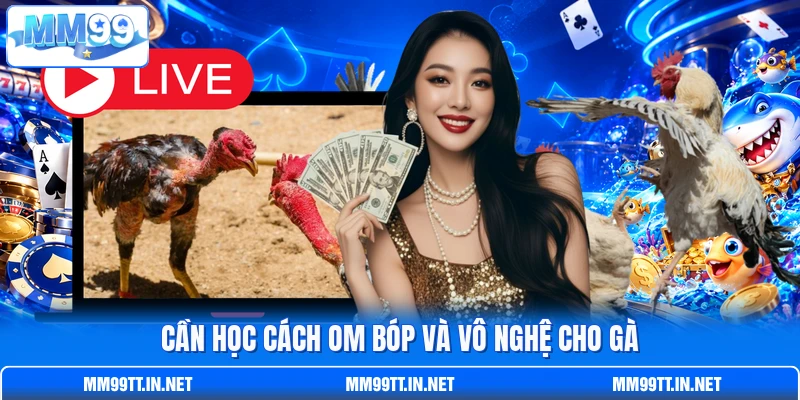 Cần học cách om bóp và vô nghệ cho gà