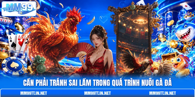 Cần phải tránh sai lầm trong quá trình nuôi gà đá