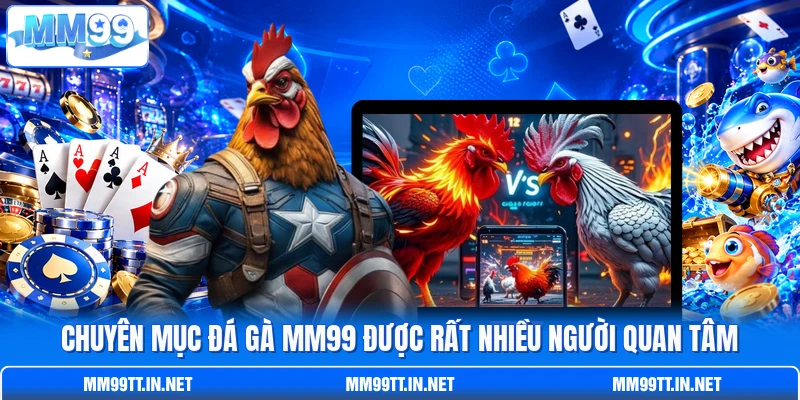 Chuyên mục đá gà MM99 được rất nhiều người quan tâm