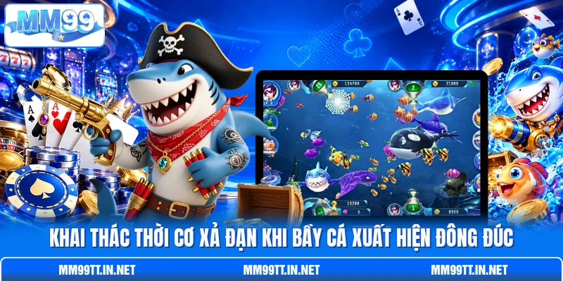 Khai thác thời cơ xả đạn khi bầy cá xuất hiện đông đúc