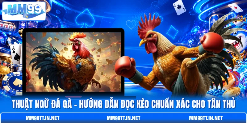 Thuật Ngữ Đá Gà - Hướng Dẫn Đọc Kèo Chuẩn Xác Cho Tân Thủ