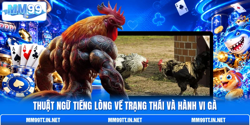 Thuật ngữ tiếng lòng về trạng thái và hành vi gà Thuật ngữ tiếng lòng về trạng thái và hành vi gà