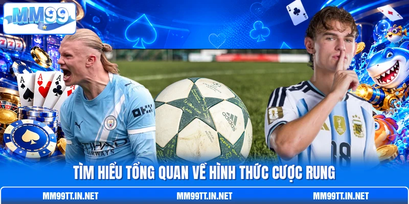 Tìm hiểu tổng quan về hình thức cược rung Tìm hiểu tổng quan về hình thức cược rung