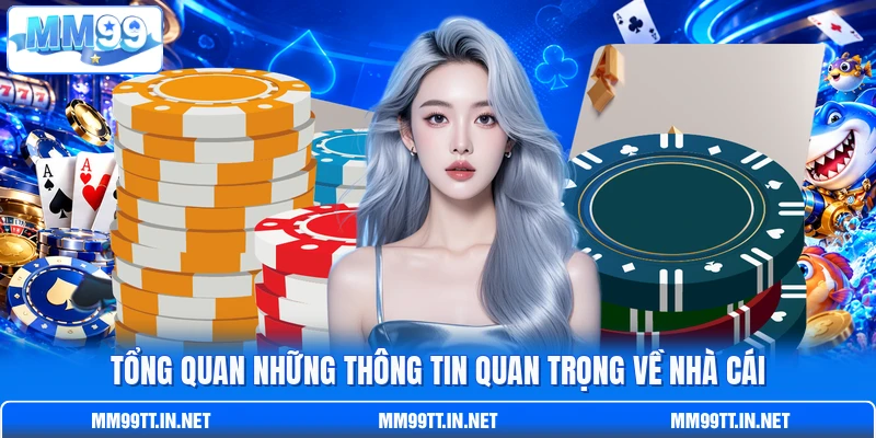 Tổng quan những thông tin quan trọng về nhà cái Tổng quan những thông tin quan trọng về nhà cái